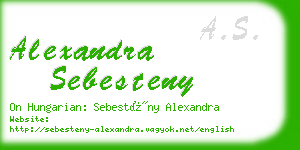 alexandra sebesteny business card